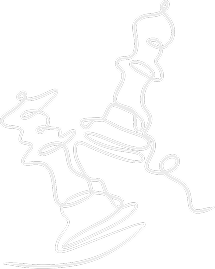 We Build Transparency and Trust